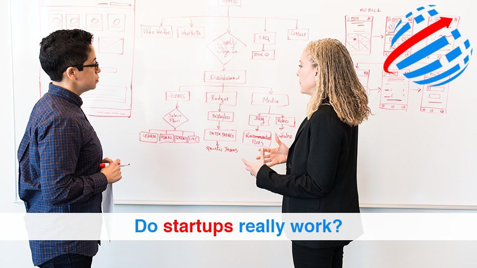 Do startups really work