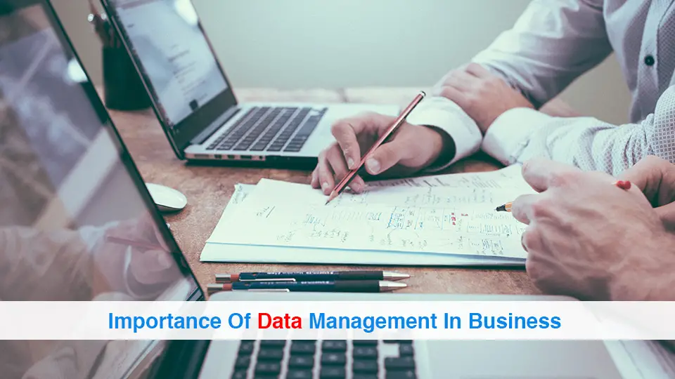 Importance-Of-Data-Management-In-Business