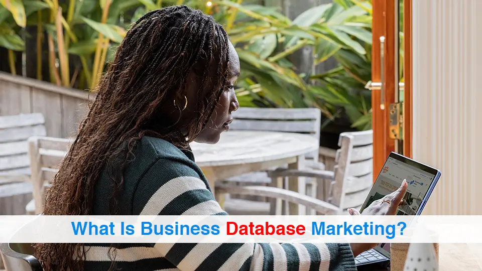 What-Is-Business-Database-Marketing