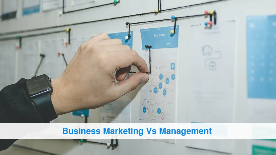 Business-Marketing-Vs-Management
