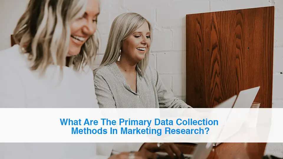 What-Are-The-Primary-Data