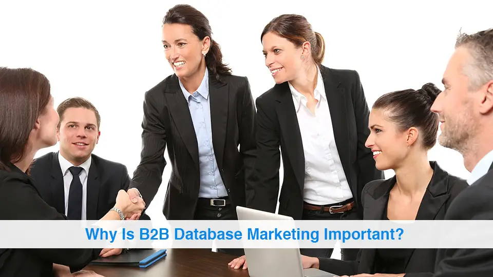 Why-Is-B2B-Database-Marketing-Important