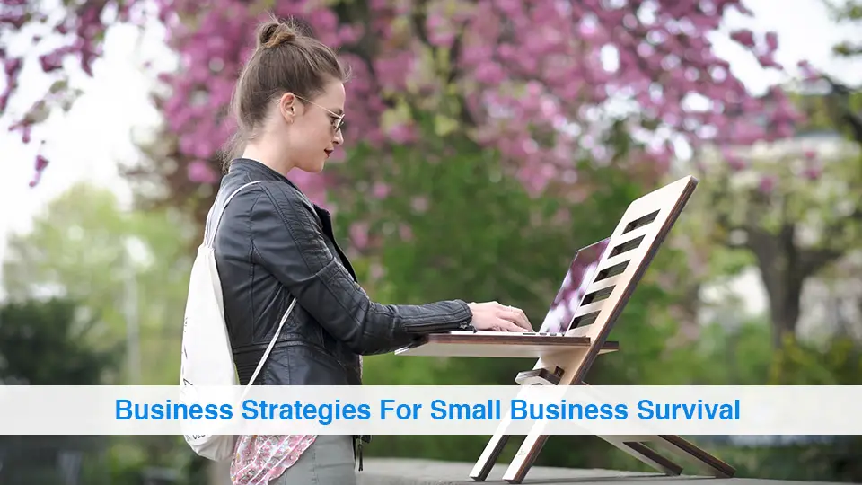 Business-Strategies-For-Small-Business-Survival