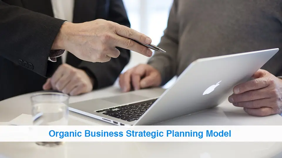 Organic-Business-Strategic-Planning