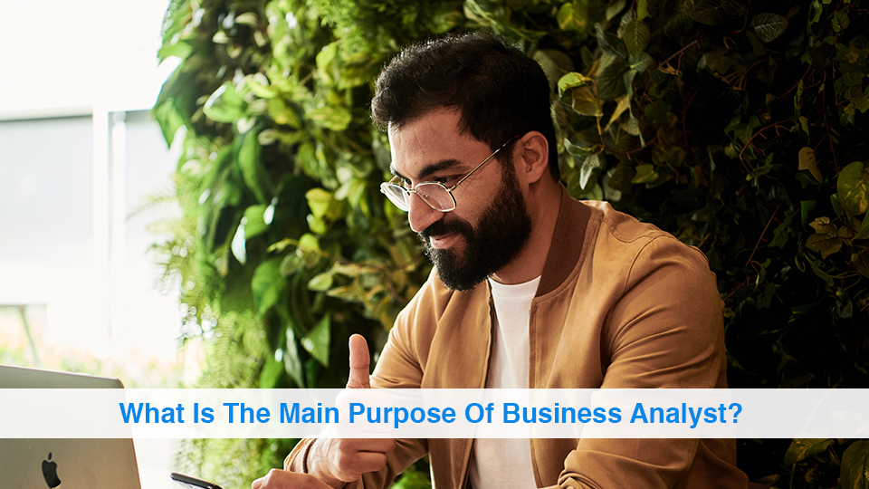 what-is-the-main-purpose-of-business-analyst-business-data-list