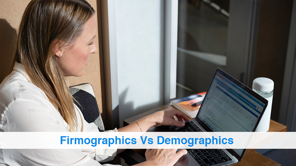Firmographics Vs Demographics