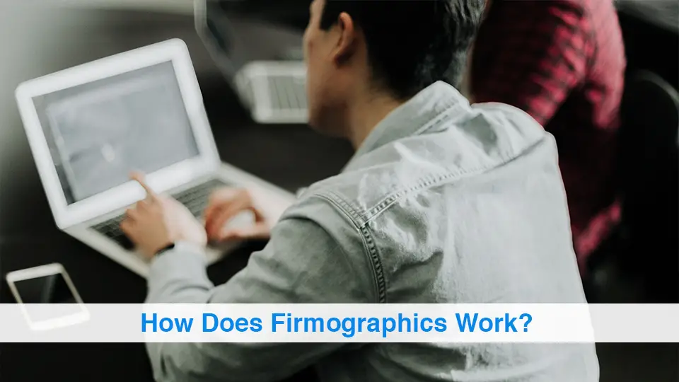 How-Does-Firmographics-Work